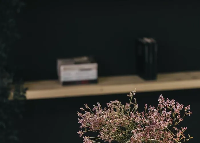 Ondarra Autocheck-in Saint-Sébastien